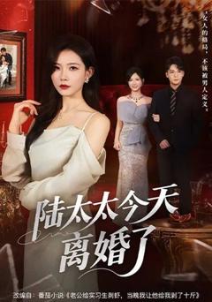 免费在线观看完整版短剧《陆太太今天离婚了》