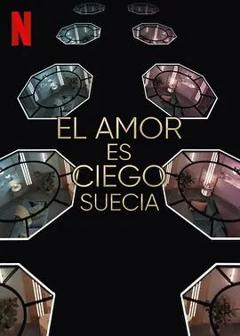 免费在线观看《爱情盲选：瑞典篇第三季》